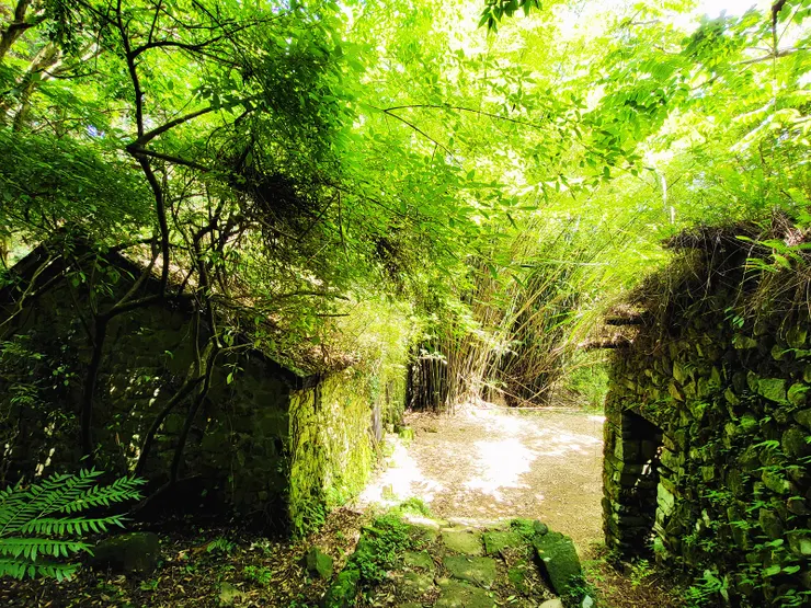 9:50抵達山豬豐厝地，因屋主阿豐仔善於獵捕山豬而得名