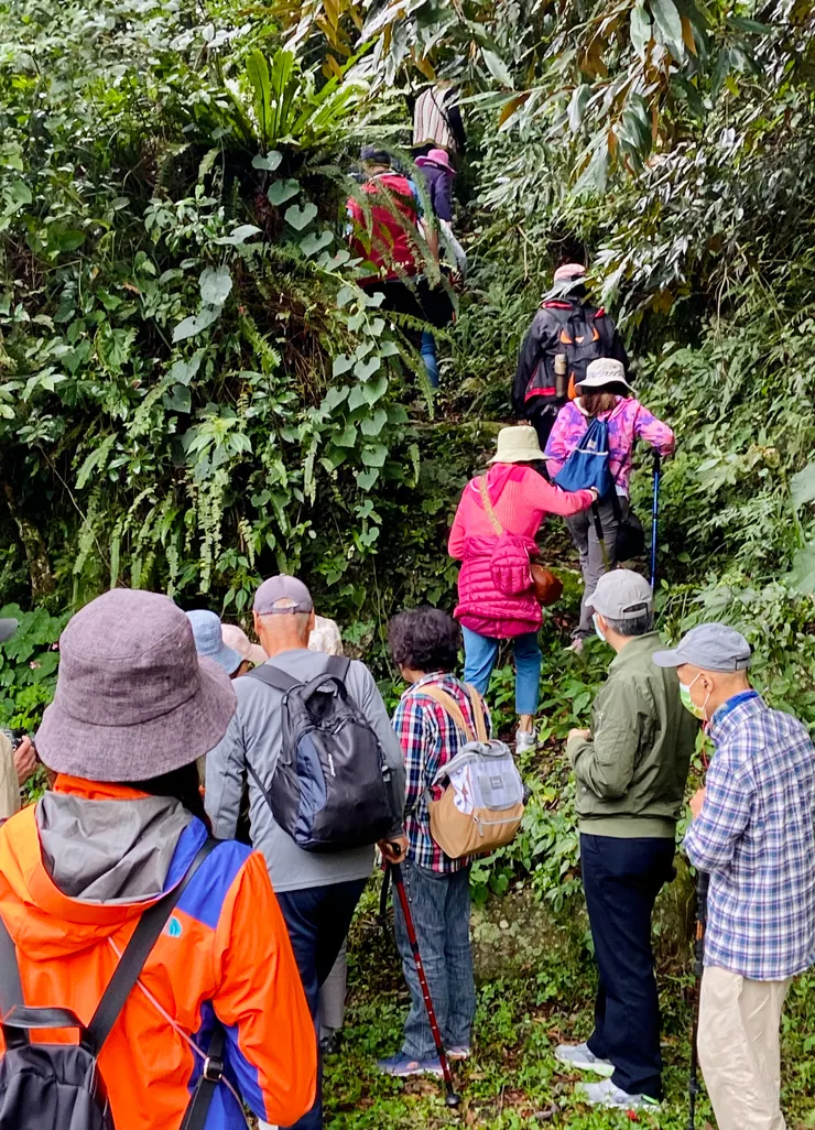▲ 人煙罕至的原始林步道，小心潮濕路滑