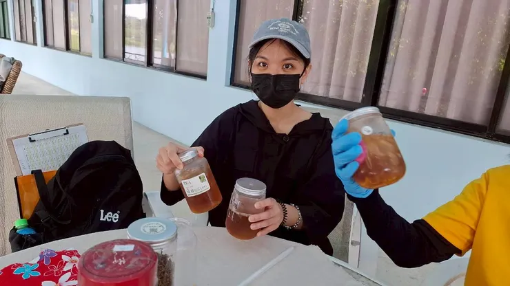 東方美人柑橘水果茶DIY