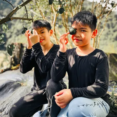 蟲蟲媽咪的沙龍