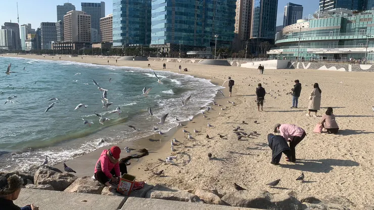 冬日的海岸人潮仍不少。