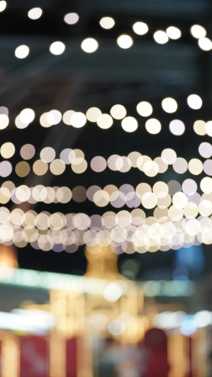 失焦也可以是很美的景致