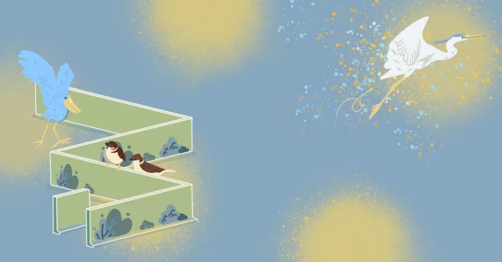 凜鷺的歇腳森林