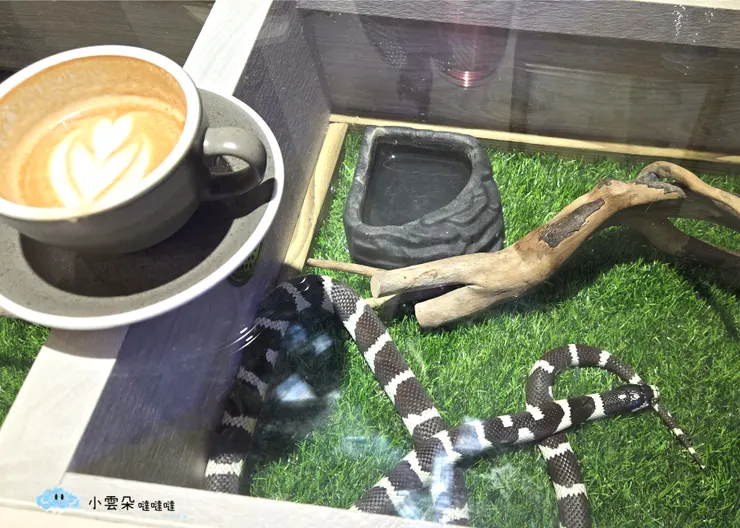 吧台桌子裡是一間間的蛇套房