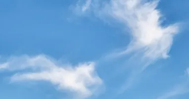 雙生火焰研習社（Piggie主場）