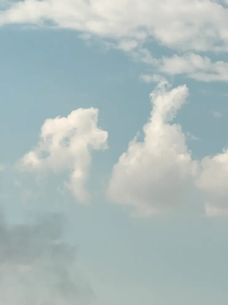 這是個小女孩奔向媽媽。有像嗎？