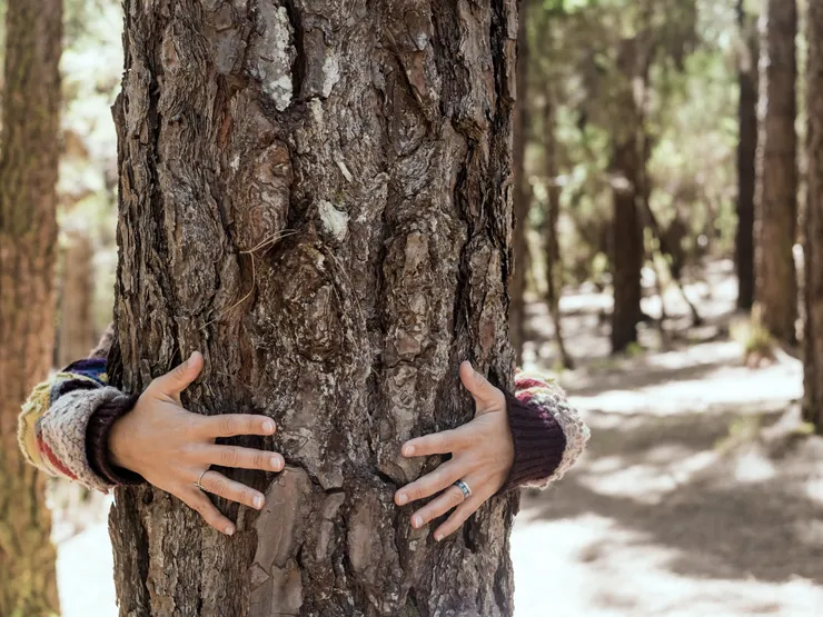 走進森林擁抱大樹，這也可以是自我照顧