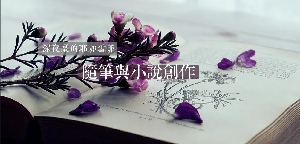 墨西哥月夜下的獨舞