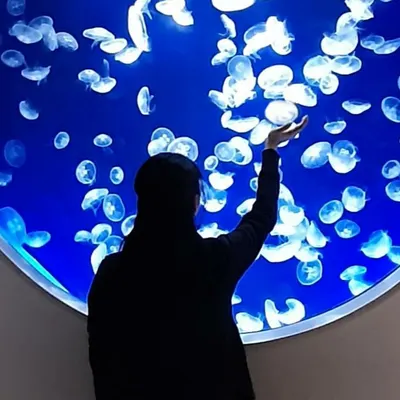 幸福ㄉ小孩 分享天地