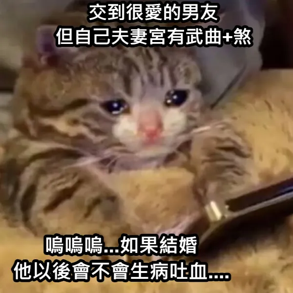 不用擔心，不一定會~(感謝梗圖產生器讓我製作梗圖)