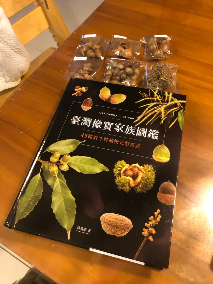 我準備的材料