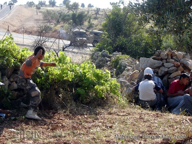 (photo by Mahmoud Burnat, CC BY-SA 3.0)