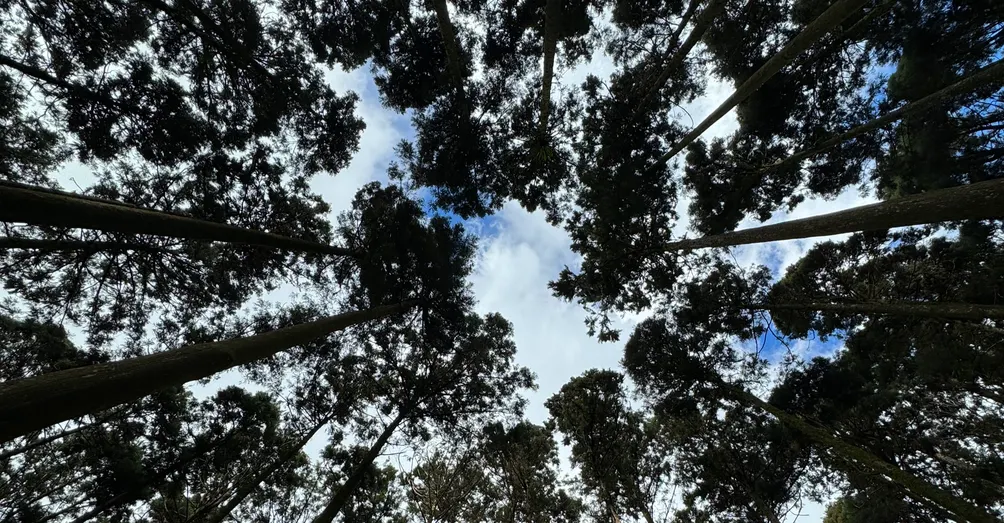 Natasha娜塔莎生活小記