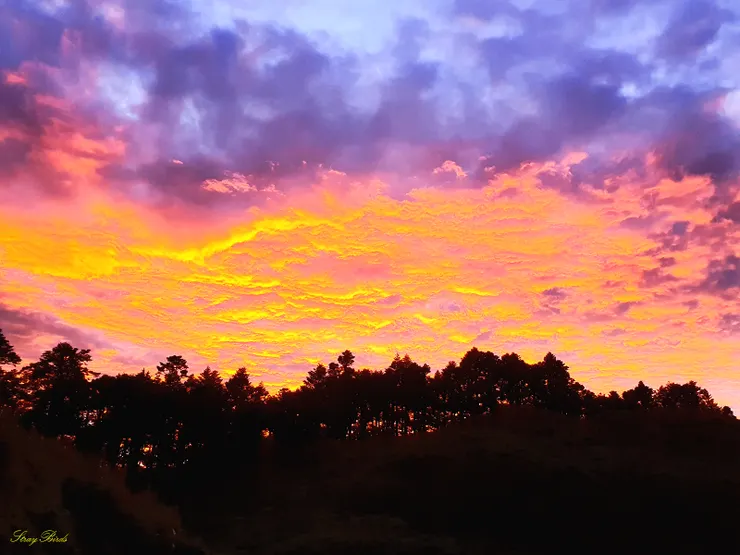 ↑傍晚營地的火燒雲