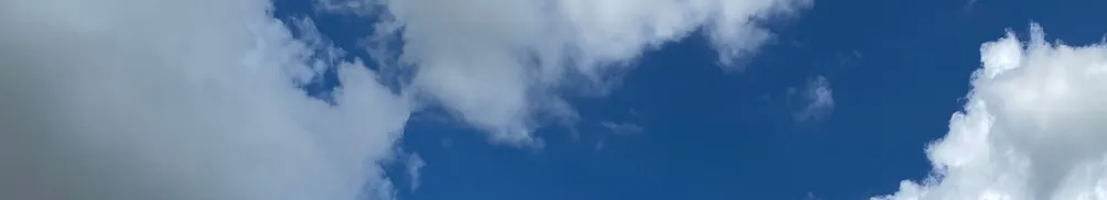 Patrick Chan的沙龍