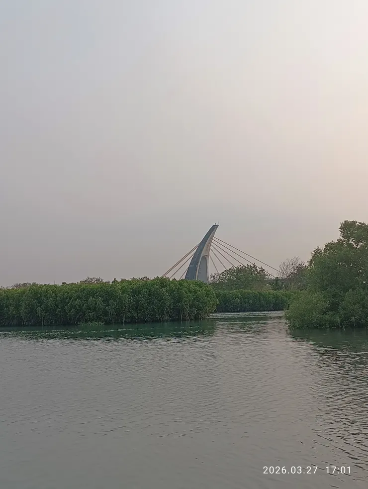 眼遇多巴胺潮漲