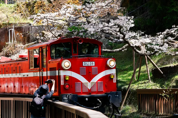 圖片來源:Reuters