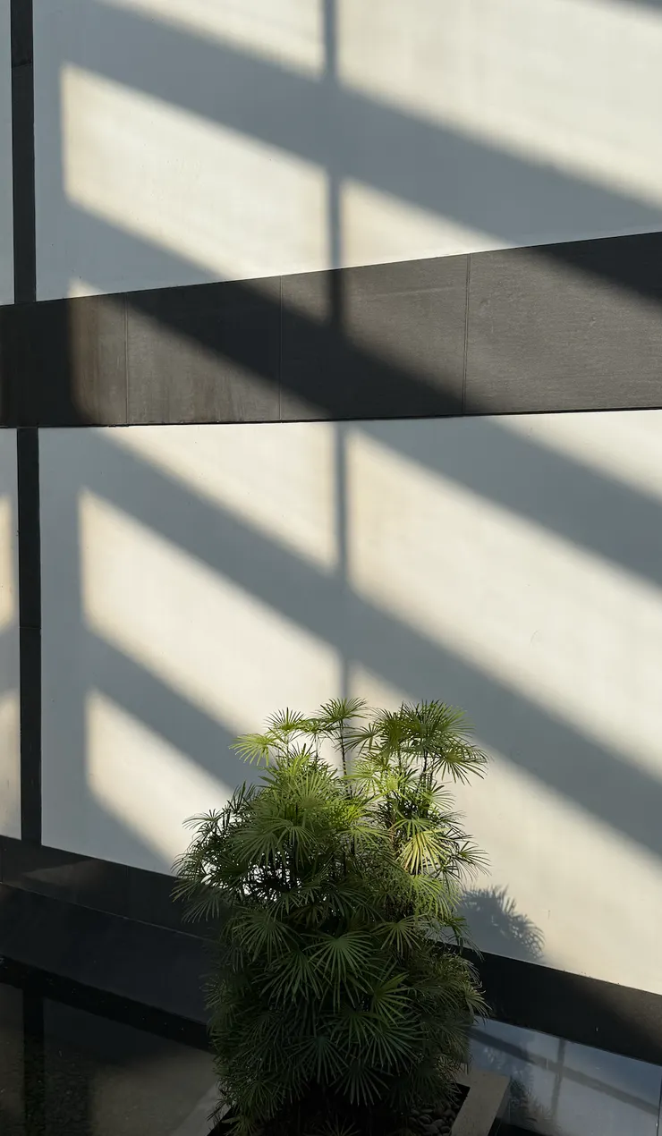 十月的蘇州博物館，光影非常美！