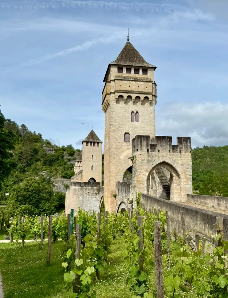 老橋和葡萄園一起入鏡,好有味道