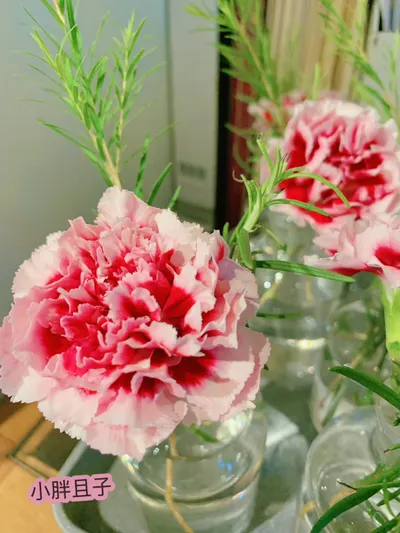 在低潮裡，與自己溫柔相逢