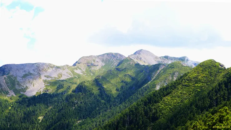 ▲雪山山脈主峰(H3886m,全台灣第二高峰,五岳之一)