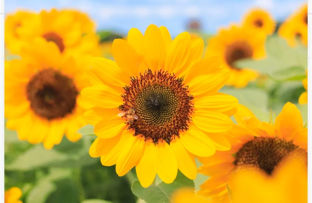 ~阿郎君~生活趣