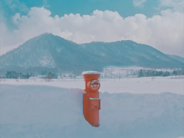 《我心裡的太陽》劇照／政駒光年提供