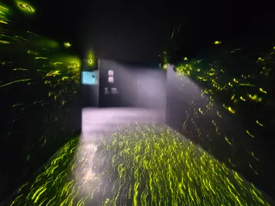 要發股利時，股票拿回來好？還是繼續借出領出借利息呢？