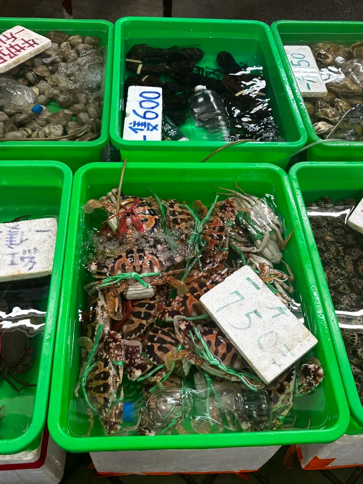 紅綠線併存的大花～🦀