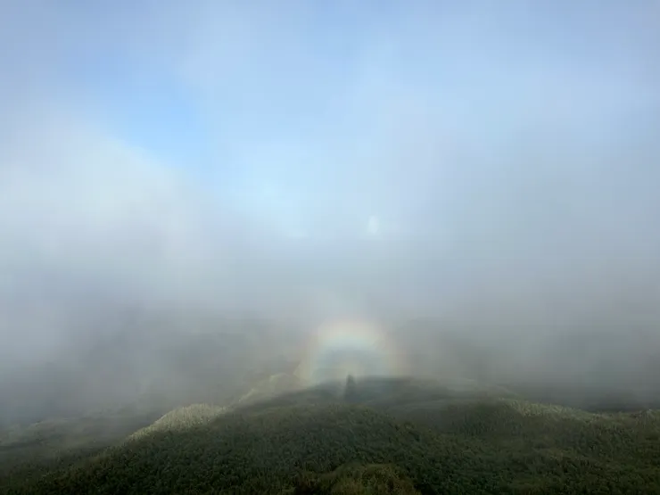 我像松的樹尖，就立在那兒，被虹包圍。