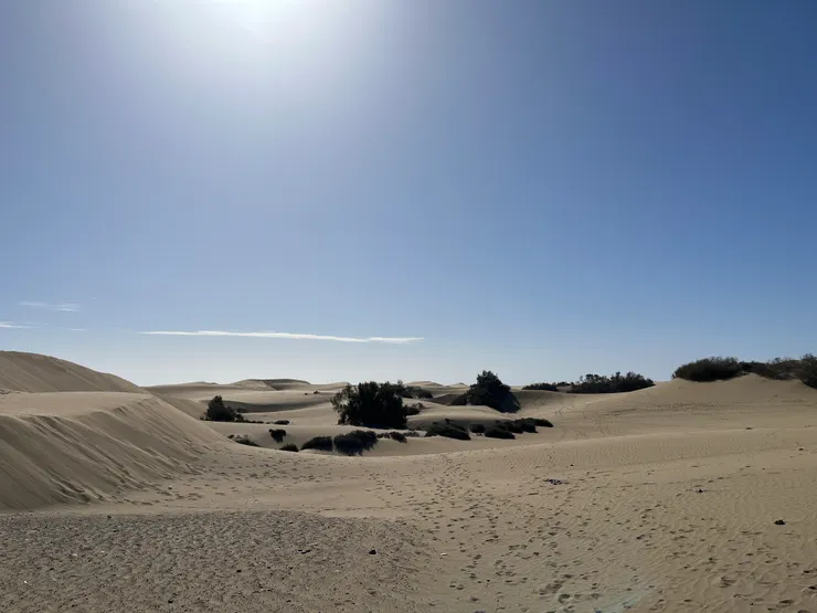 最知名的景點之一 Dunas de Maspalomas馬斯帕洛馬斯沙丘