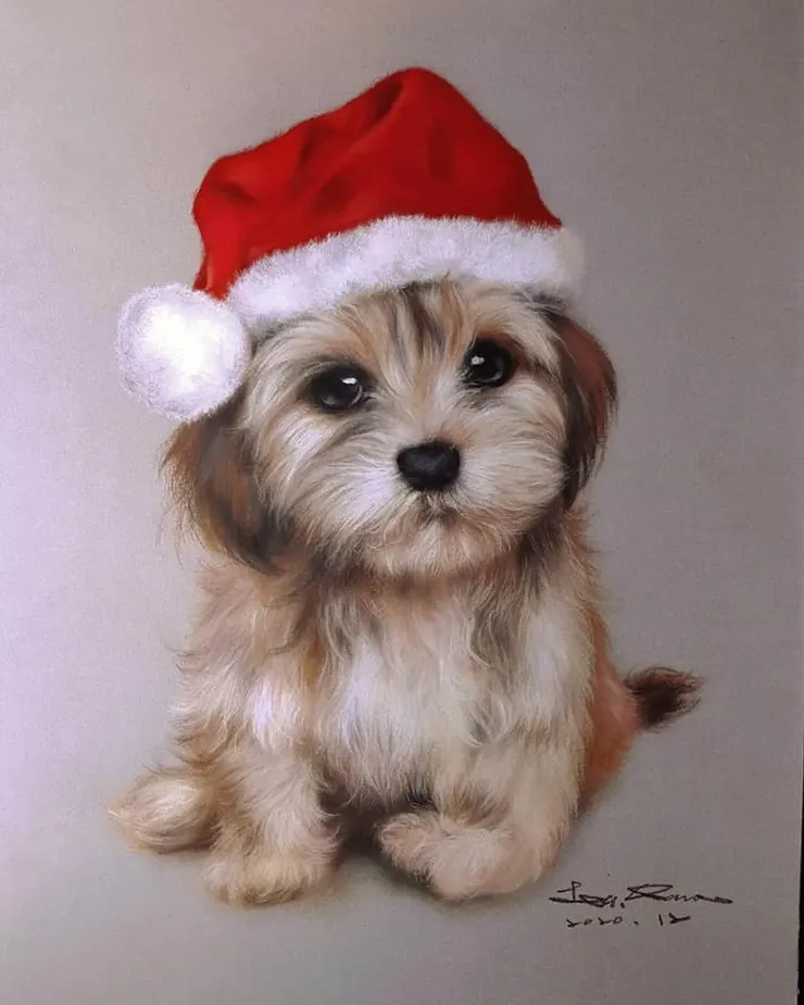 過聖誕節的小狗 (媒材:粉彩)