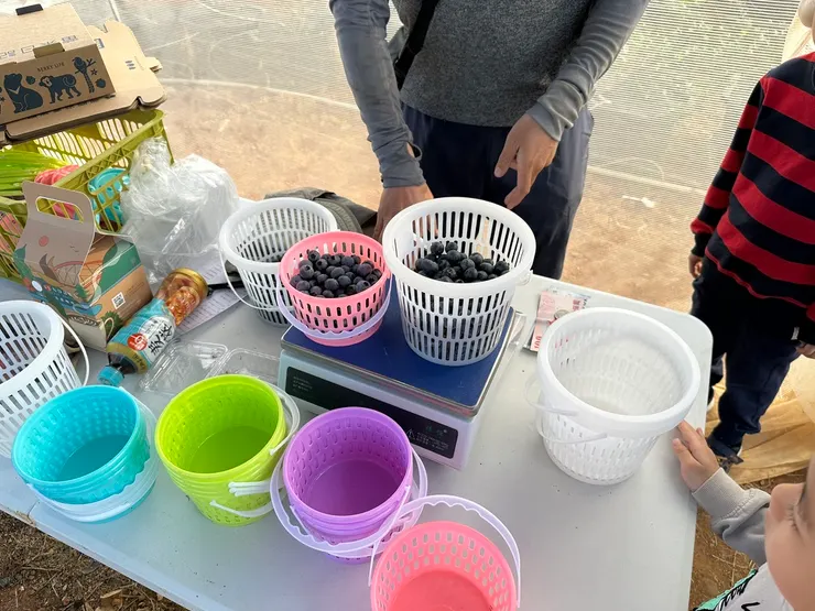 猜猜我們這樣多少錢？