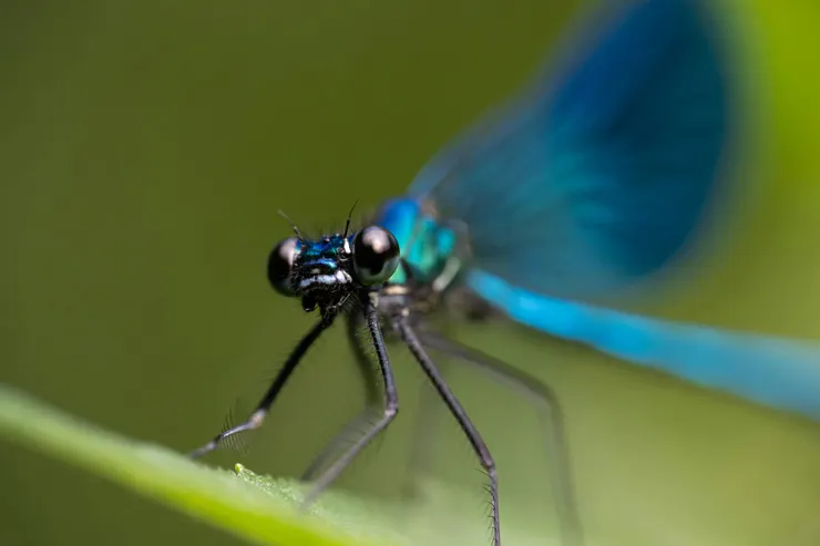 攝影師：Bejan  Adrian: https://www.pexels.com/zh-tw/photo/33092163/