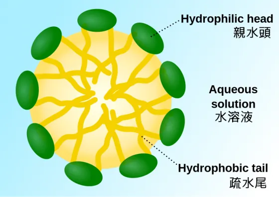 極小的美乃滋結構