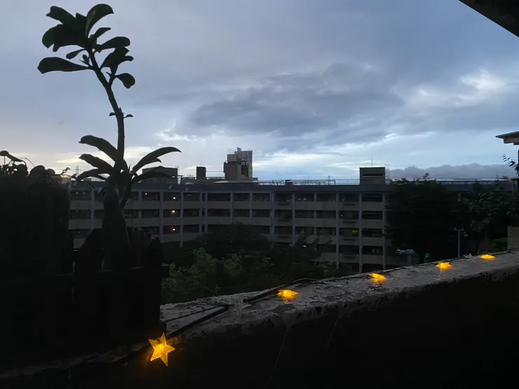 最喜歡在看台區思考~~