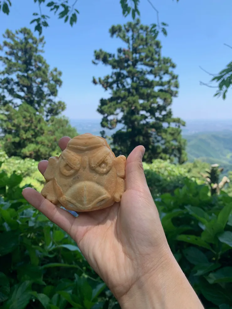 爬到半路，休息時，才拿出來吃。