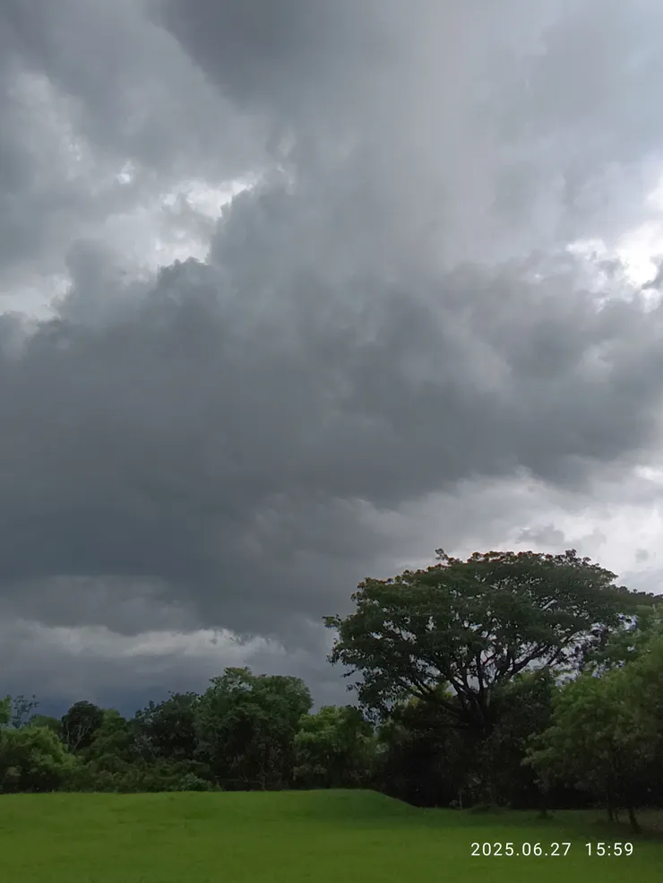 朝為行雲暮為雨