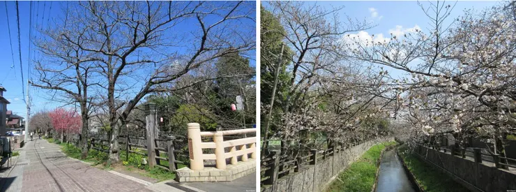 左為2024年,右圖為2025年