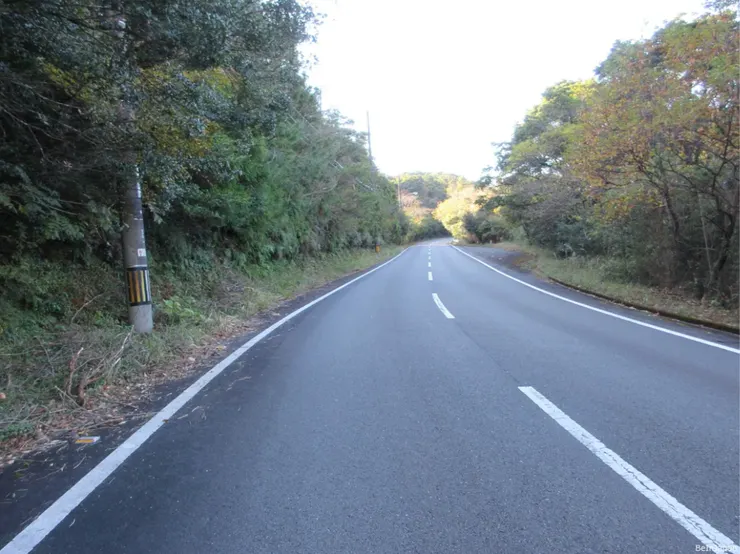 一路上沒什麼車子