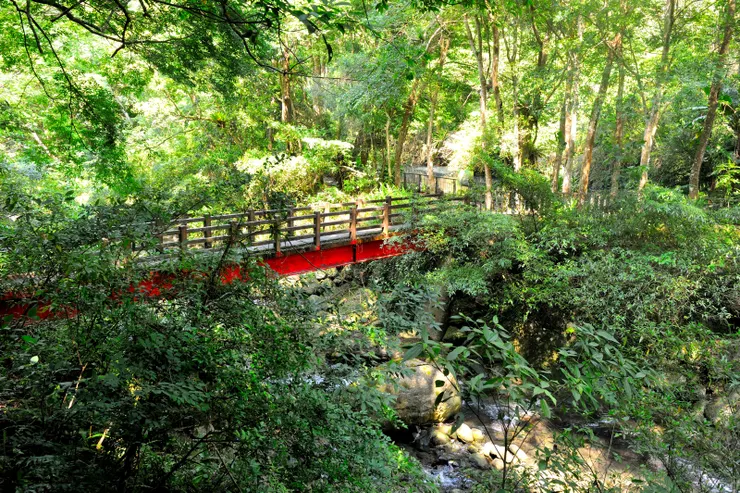 【蓬萊賞魚聽溪聲時為鳥鳴留步！跨過紅橋走對岸回程。】