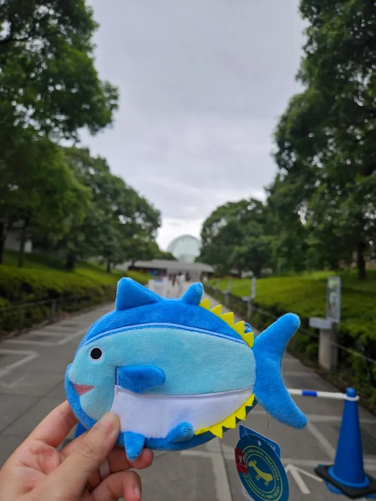 應景的在紀念品店買了一個鮪魚零錢包