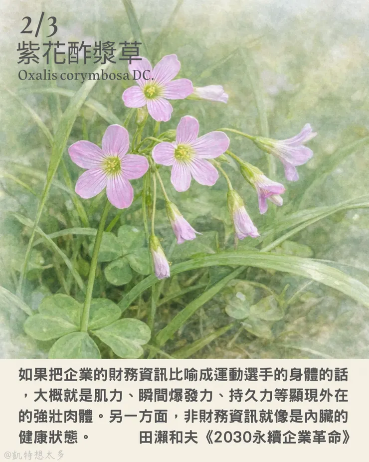 《一日一花・一句》｜2 月 3 日｜紫花酢漿草×田瀨和夫《2030永續企業革命》