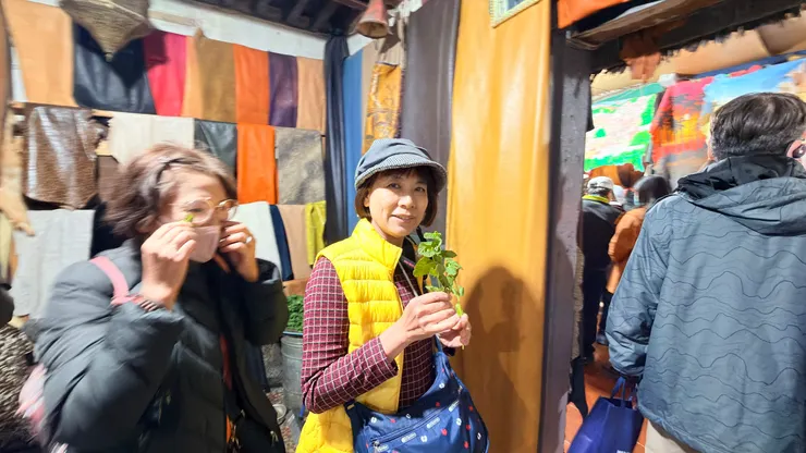 平衡臭味的薄荷葉