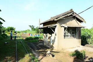 分歧旗站信號所(往烏樹林方向拍攝)