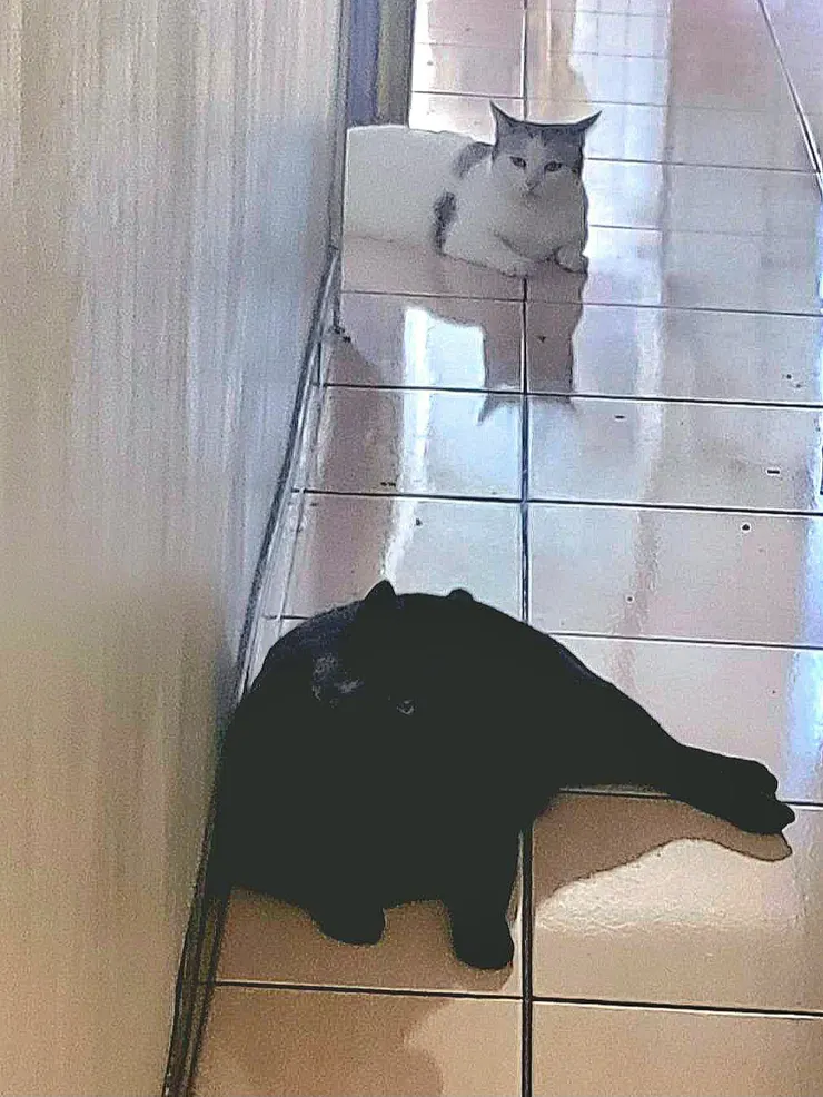 黑白配.李建崑攝影