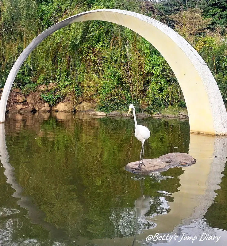 ▲大有梯田生態公園/圖片來源：Betty's Jump Diary