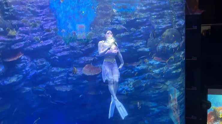 sea life水族館人魚表演