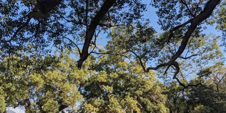 后里馬場 Photo Credit : Jhane Chou