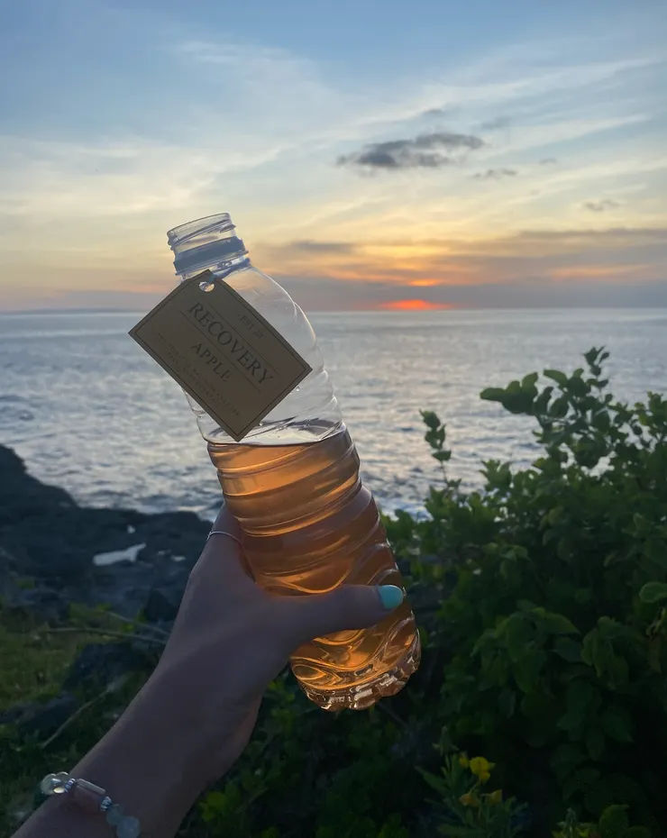 在當地傳統便利店可以買到的蘋果酒